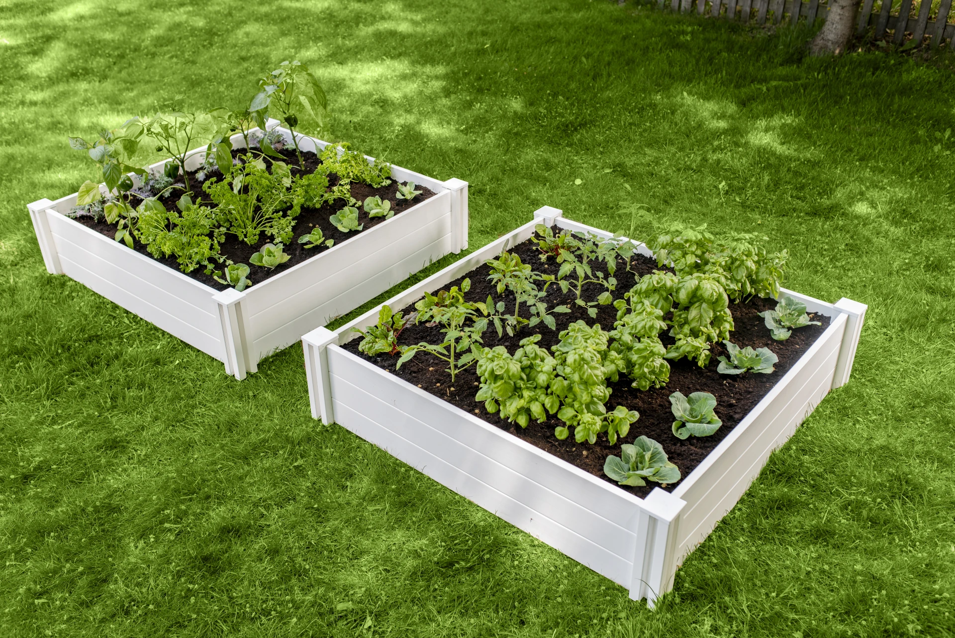 RAISED GARDEN BED